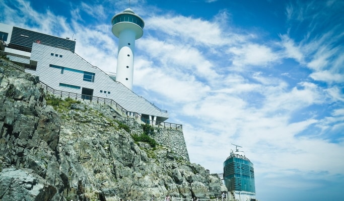 Private 1 Day Cruise Shore Excursion Tour in Busan