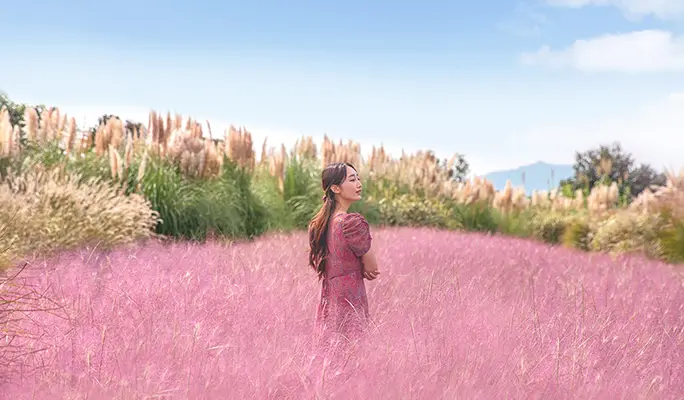 Camellia Hill Jeju Discount Ticket