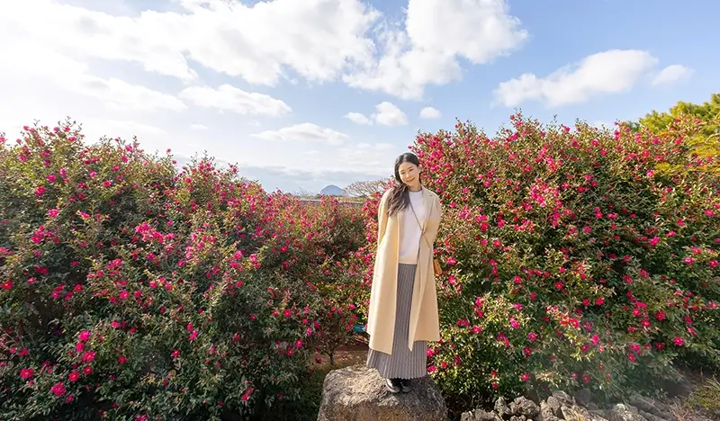 Camellia Hill Jeju Discount Ticket