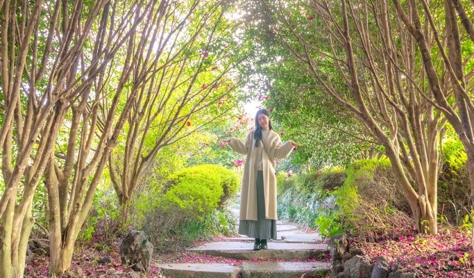 濟州山茶花之丘門票