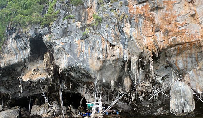 Phi Phi Islands Party Cruise 'Captain Bob's Booze Cruise' (+Unlimited Drinks/ Meal/ Snorkeling/ Paddleboarding) - from Koh Phi Phi Don Island