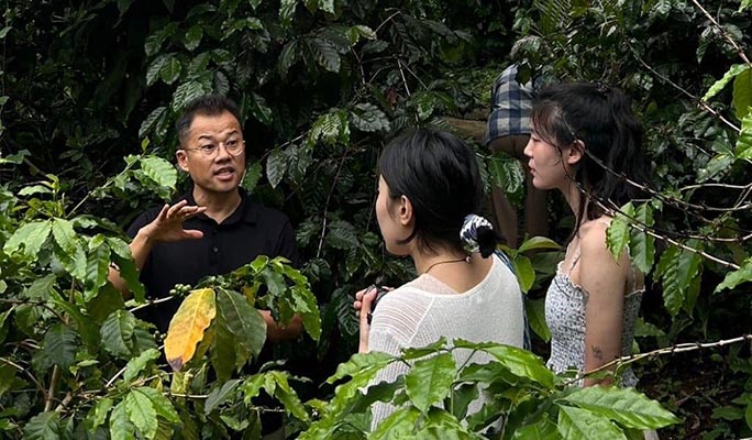 Chiang Mai Organic Coffee Farm Half Day Tour by Zeit Roaster (+ Hotel Transfer option)