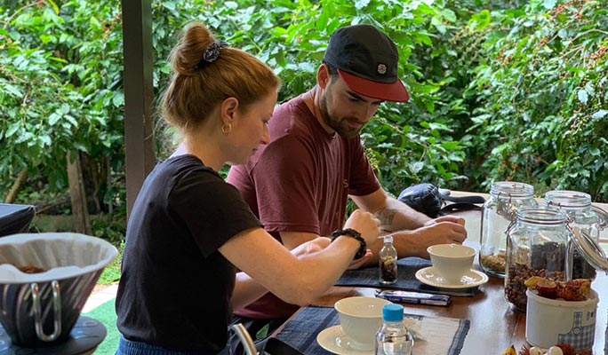 Chiang Mai Organic Coffee Farm Half Day Tour by Zeit Roaster (+ Hotel Transfer option)
