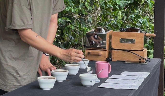 Chiang Mai Organic Coffee Farm Half Day Tour by Zeit Roaster (+ Hotel Transfer option)