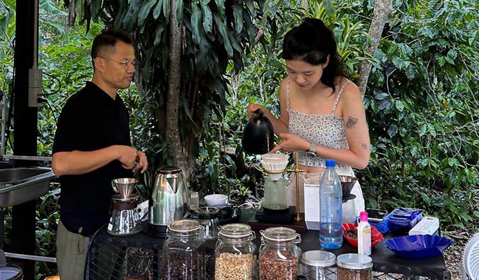 Chiang Mai Coffee Farm Half Day Tour