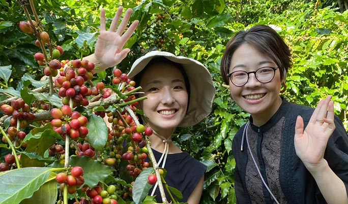 Chiang Mai Organic Coffee Farm Half Day Tour by Zeit Roaster (+ Hotel Transfer option)