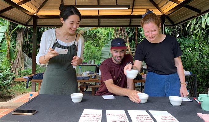 Chiang Mai Organic Coffee Farm Half Day Tour by Zeit Roaster (+ Hotel Transfer option)