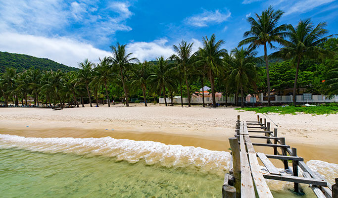 Cham Islands 1 Day Tour by Speedboat (+Snorkeling) - from Da Nang/Hoi An