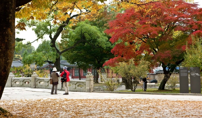 Seoul City Tour for Vegetarians & Muslims