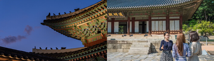 Changgyeonggung Palace Night Walking Tour - Trazy, Korea's #1 Travel Shop