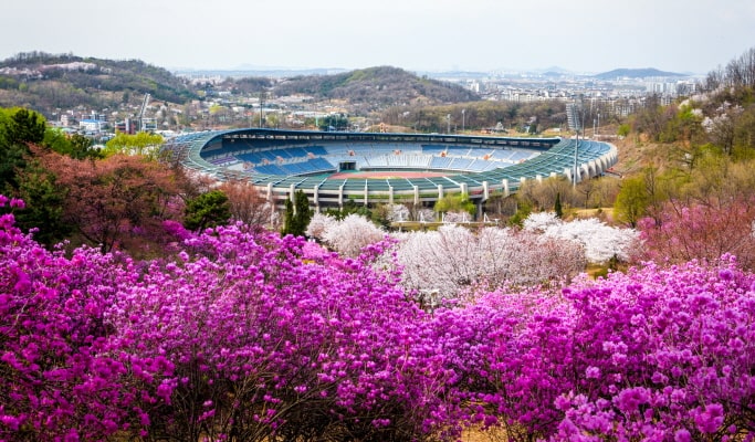 春季特輯：櫻花一日遊（首爾↔週邊地區，4月2日~17日）