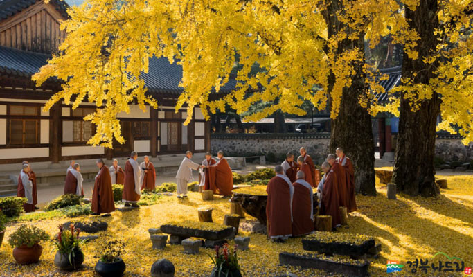 Gyeongbuk Cheongdo (Daegu Suburb) 1 Day Private Tour