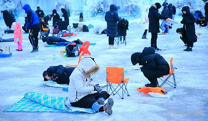 Cheongpyeong Snowflake Ice Festival Trout Ice Fishing + Vivaldi Park Snowyland Snow Sled 1 Day Tour (Jan 28~Feb 14)