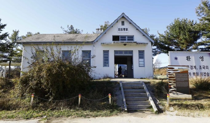 鐵原非武裝地帶（DMZ）一日遊 包含聯合國教科文組織遺產景點與季節性花卉公園 - 首爾出發