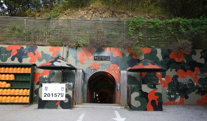鐵原非武裝地帶（DMZ）一日遊 包含聯合國教科文組織遺產景點與季節性花卉公園 - 首爾出發