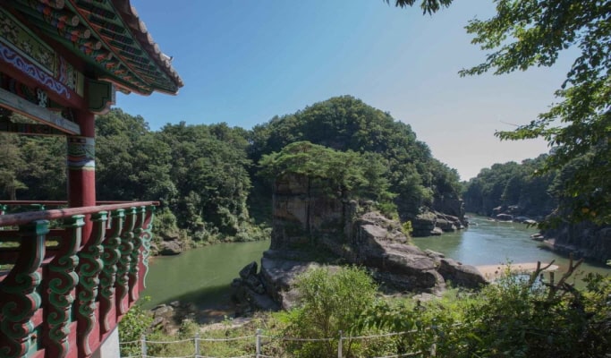 鐵原非武裝地帶（DMZ）一日遊 包含聯合國教科文組織遺產景點與季節性花卉公園 - 首爾出發