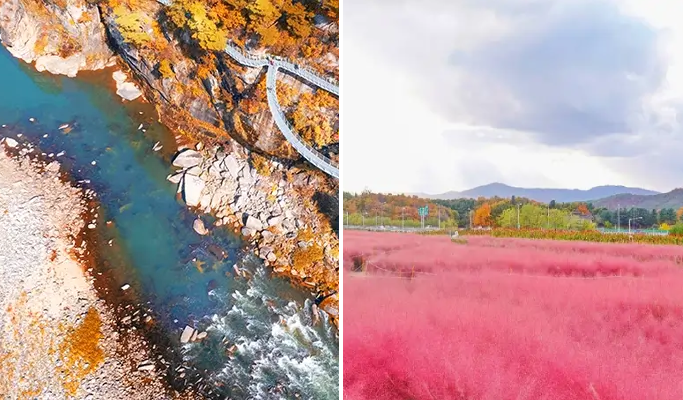 Cheorwon DMZ 1 Day Tour with UNESCO Sites and Seasonal Flower Parks - from Seoul