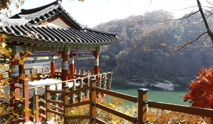 鐵原非武裝地帶（DMZ）一日遊 包含聯合國教科文組織遺產景點與季節性花卉公園 - 首爾出發