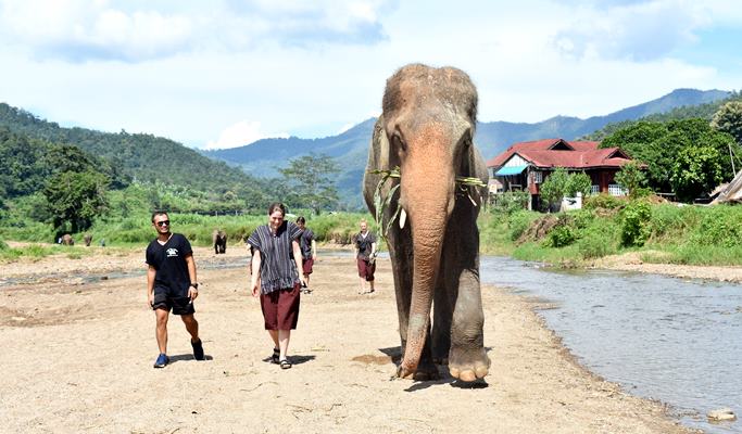Chiang Mai 1 Day Tuk Tuk Tour (+Thai Lunch/Tuk Tuk Drive & Ride)