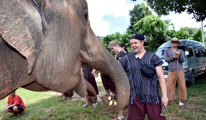 Chiang Mai 1 Day Tuk Tuk Tour (+Thai Lunch/Tuk Tuk Drive & Ride)