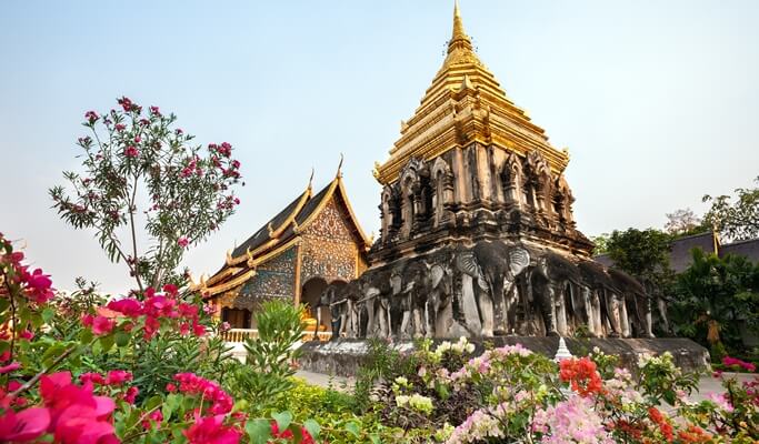 Chiang Mai 4 Temples Half Day Tour (Join-in/Private)