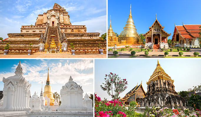 Chiang Mai 4 Temples Half Day Tour (Join-in/Private)
