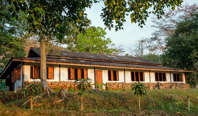 Araksa Tea Garden (Plantation) Tour (+Private transfer option)