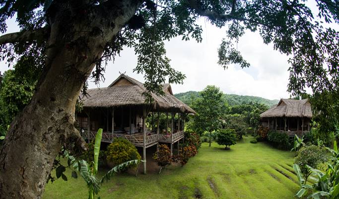 Araksa Tea Garden (Plantation) Tour (+Private transfer option)