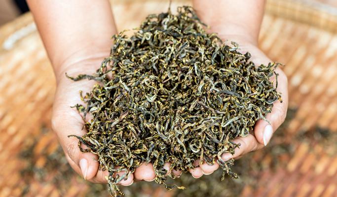 Araksa Tea Garden (Plantation) Tour (+Private transfer option)