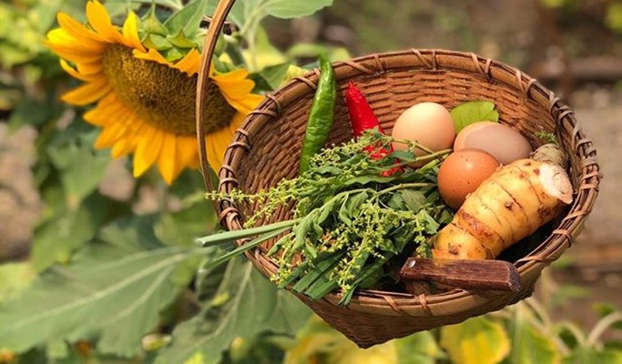 Thai Cooking Class & Local Market Tour in Chiang Mai (Half Day/Full Day)