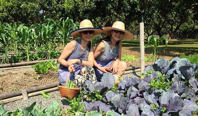Thai Cooking Class & Local Market Tour in Chiang Mai (Half Day/Full Day)