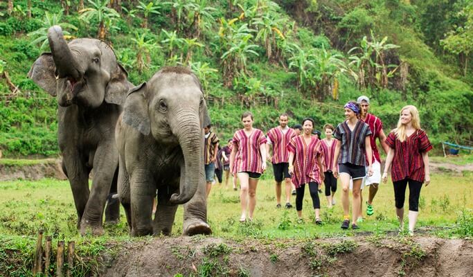 Chiang Mai Elephant Sanctuary Visit Day/Overnight) - Your Travel Shop Asia