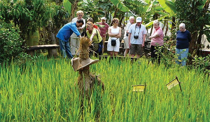 Chiang Mai Mae Ping River Cruise (+Local Meal option)