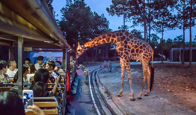Chiang Mai Night Safari Discount Ticket (+ Transfer option)