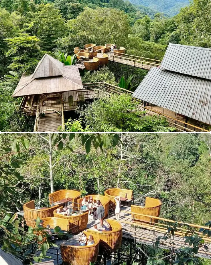 Jungle café with scenic views and drinks at Chiang Mai zipline park