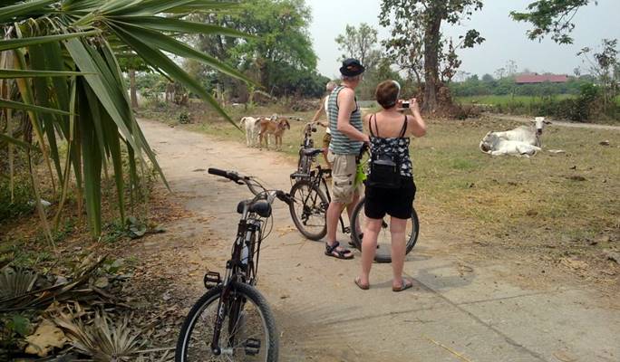 Chiang Mai by Bike: Small Group Bike Tour of Southeast Chiang Mai (Full Day)