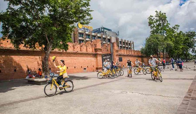 Chiang Mai by Bike Half Day Tour (Morning/Afternoon)