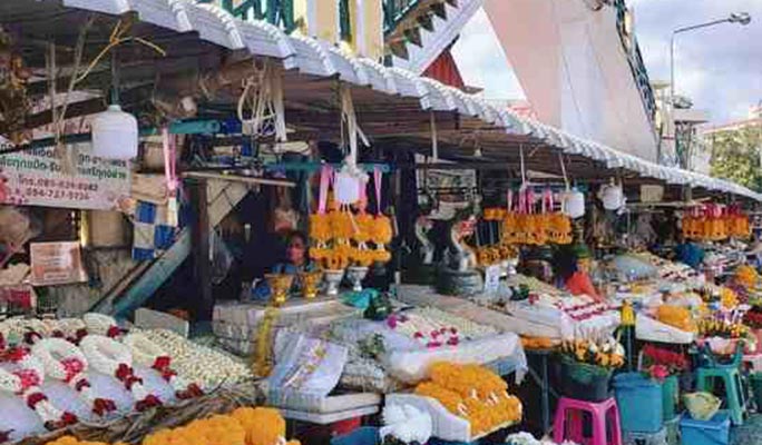 Chiang Mai by Bike Half Day Tour (Morning/Afternoon)