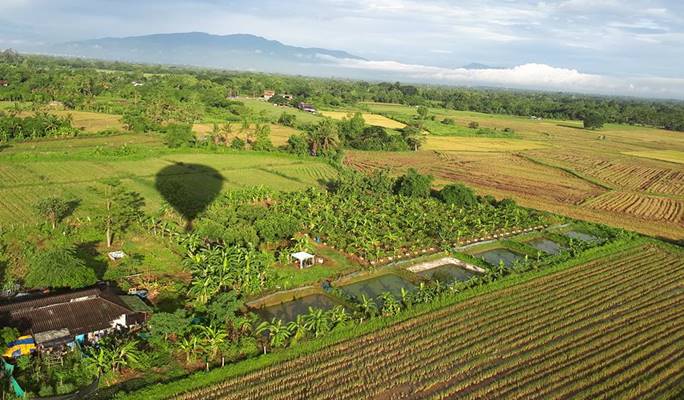 Hot Air Balloon Adventure in Chiang Mai (Sunrise)