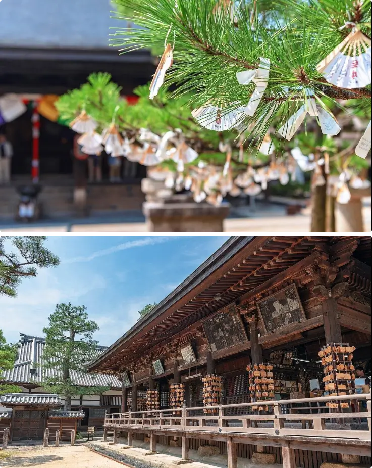 Chionji Temple gate near Amanohashidate in Kyoto