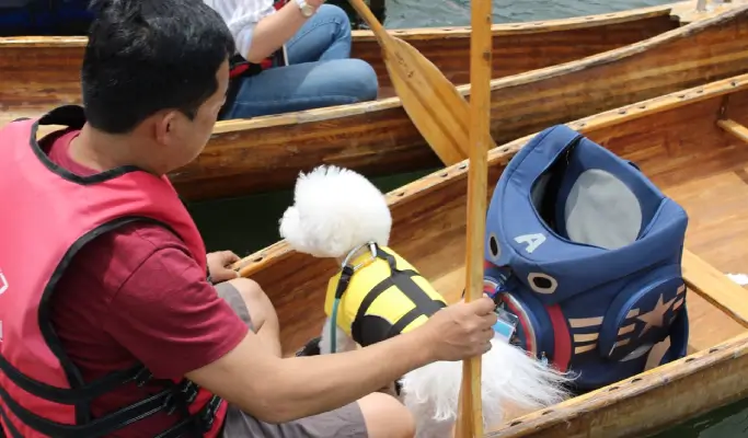 Travel With Your Pet to Chuncheon from Seoul (+ Dog-Friendly Canoe & Woodworking Experience) (Sept~Oct)