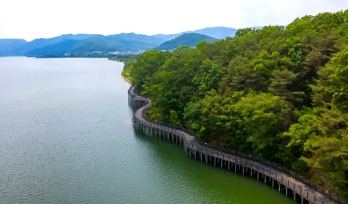 Travel With Your Pet to Chuncheon from Seoul (+ Dog-Friendly Canoe & Woodworking Experience) (Sept~Oct)