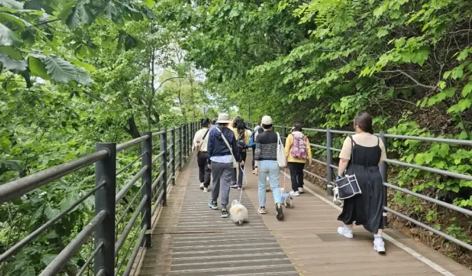 Travel With Your Pet to Chuncheon from Seoul (+ Dog-Friendly Canoe & Woodworking Experience) (Sept~Oct)