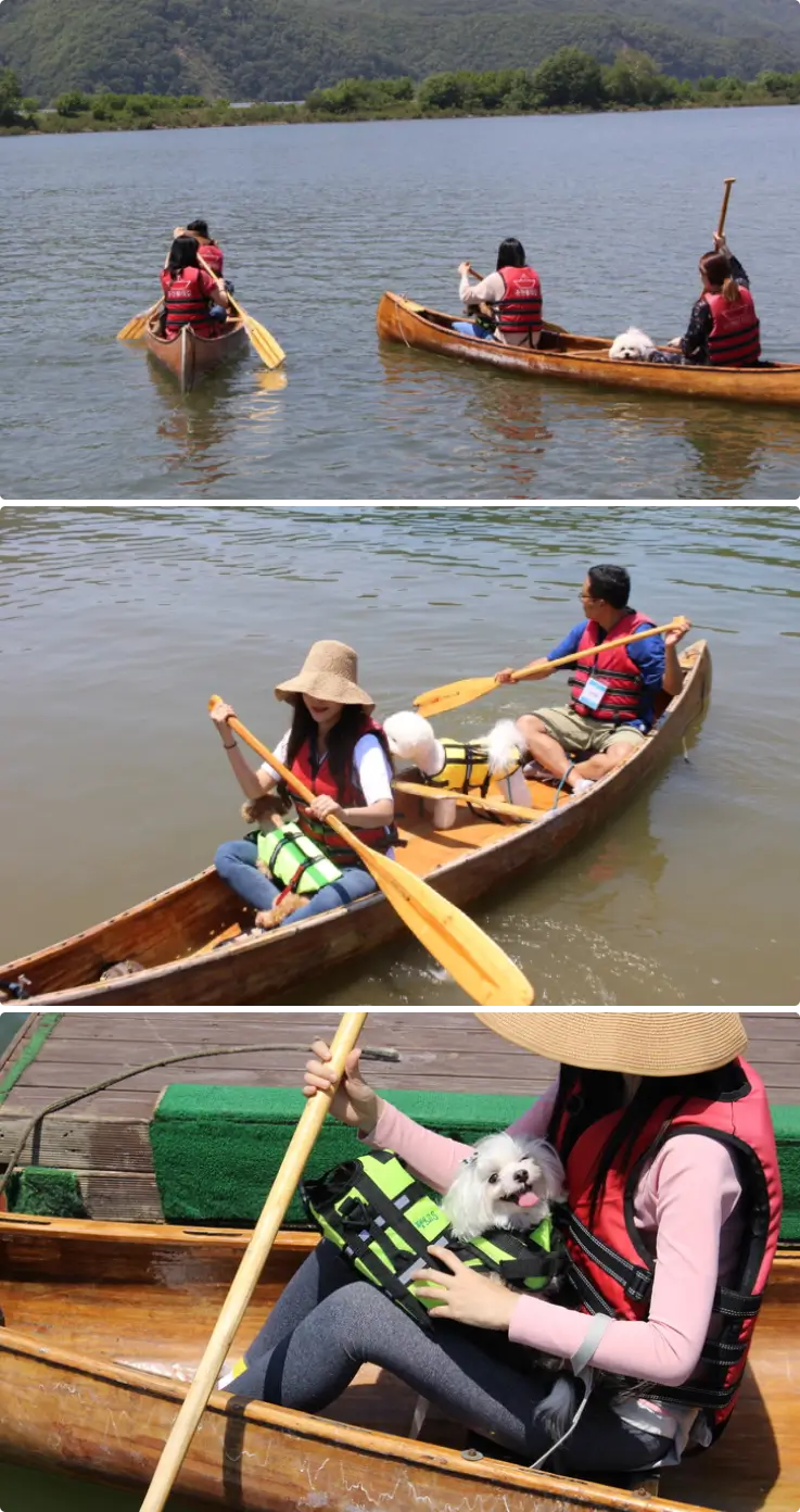 Canoeing on the scenic Uiamho Lake with a pet dog.