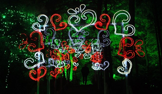 Nami Island + Chuncheon Lake Starlight Nation Festival Afternoon Tour