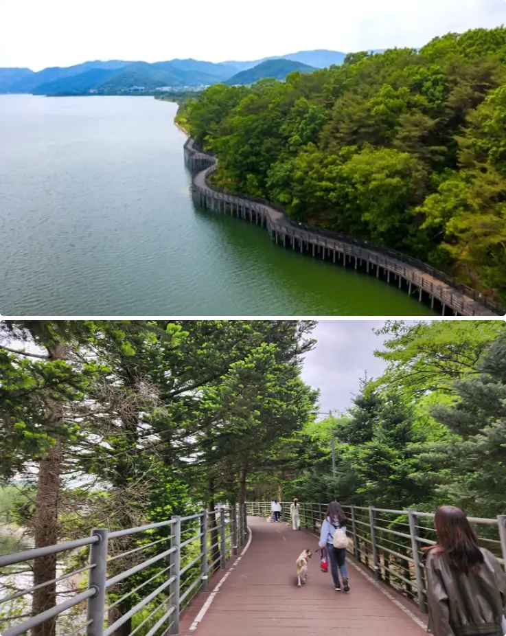 Wooden deck trail winding along the calm waters of Uiamho Lake.