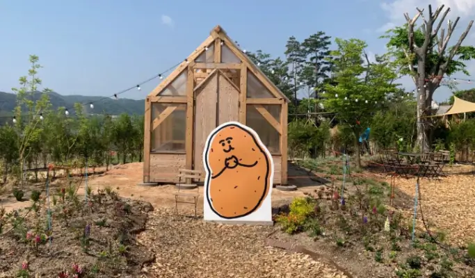 Chuncheon 3-hour Taxi Tour