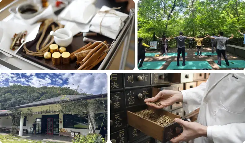 [Wellness in Chungbuk] 1-Day Healing Tours in Jecheon, Chungju, Cheongju, and Boeun