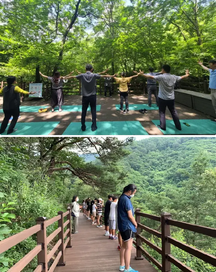 People walking through Jecheon Healing Forest for a wellness therapy session.