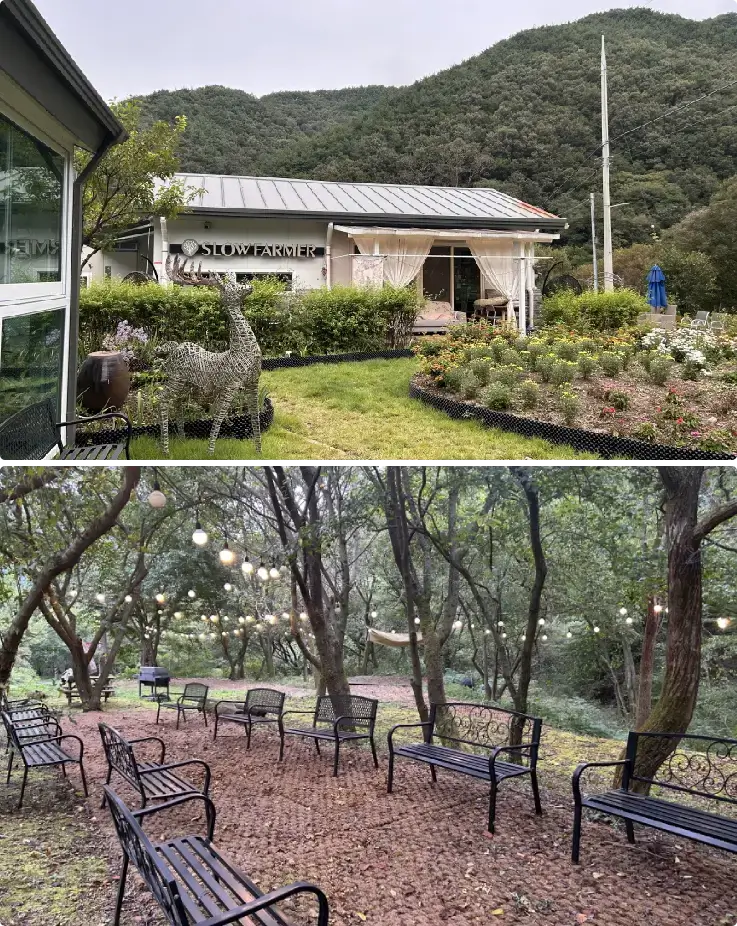 Peaceful mountain retreat surrounded by trees in Chungju.